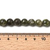 Natural Green Lepidolite Beads Strands G-K350-C01-8mm-5