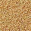 TOHO Round Seed Beads SEED-JPTR11-0948-2