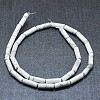 Natural Howlite Beads Strands G-F631-D18-2