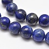 Natural Lapis Lazuli Round Bead Strands X-G-E262-01-10mm-2