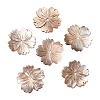 Natural Sea Shell Beads SHEL-F007-21-1