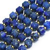 Natural Lapis Lazuli Beads Strands G-I376-D18-01-1