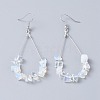 Dangle Earrings EJEW-E255-B24-1