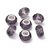 Handmade Glass European Beads LS-X-GPDL25Y-07-1