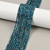 Natural Apatite Beads Strands G-E411-36-3mm-02-1