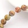 Natural Crazy Lace Agate Round Bead Strands G-M272-03-10mm-1