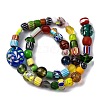 Handmade Lampwork Beads Strands LAMP-R003-05-3