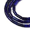 Natural Lapis Lazuli Beads Strands G-U013-A01-01-4