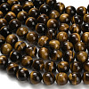 Natural Tiger Eye Beads Strands G-H329-C07-12mm-4