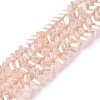 Electroplate Opaque Glass Beads Strands EGLA-Q139-01A-C03-1