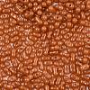 Baking Paint Glass Seed Beads SEED-L011-09A-25-3