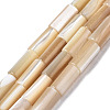 Natural Trochid Shell/Trochus Shell Beads Strands SSHEL-S266-020B-01-1