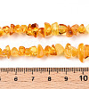 Natural Amber Beads Strands G-T138-235A-4