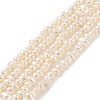 Electroplated Shell Pearl Beads Strands BSHE-C006-06B-1