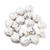 Natural Howlite Beads Strands G-C150-A18-01-4