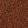 TOHO Round Seed Beads X-SEED-TR11-0303-2