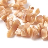 Freshwater Shell Beads Strands BSHE-O017-11-3