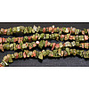 Natural Unakite Chips Beads Strands X-F020-1