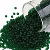 TOHO Round Seed Beads X-SEED-TR11-0939F-1