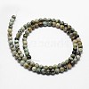 Natural African Turquoise(Jasper) Beads Strands LS-G-D840-90-10mm-2