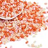 Glass Seed Beads SEED-K010-03N-1