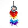 Woven Web/Net with Feather Wall Hanging Decorations PW-WG87714-01-1