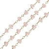 Glass & 304 Stainless Steel Beaded Chains SA-CBAD321-04E-1