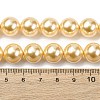 Electroplated Shell Pearl Beads Strands BSHE-G041-12mm-01-4