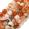 Natural Agate(Dyed & Heated) Beads Strands G-H066-B05-02-1