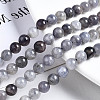 Natural Iolite Beads Strands G-N328-50A-01-4