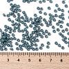 MIYUKI Round Rocailles Beads X-SEED-G008-RR4479-4