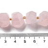 Natural Rose Quartz Beads Strands G-B094-E01-01-5