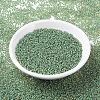 MIYUKI Round Rocailles Beads SEED-X0054-RR0374-2