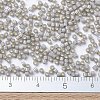 MIYUKI Delica Beads X-SEED-J020-DB1456-4