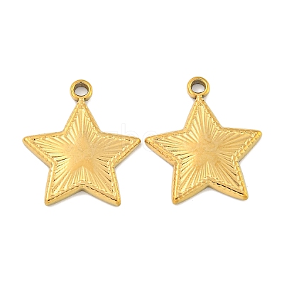 Ion Plating(IP) 304 Stainless Steel Pendants STAS-P365-09G-1