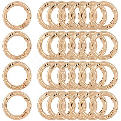 30Pcs Alloy Spring Gate Ring FIND-SP0001-48-1