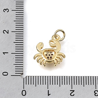 Brass Micro Pave Clear Cubic Zirconia Charms KK-E802-05G-1