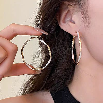 Alloy Enamel Hoop Earrings FS-WG76269-02-1