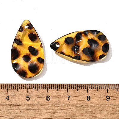 Transparent Acrylic Pendants LS-OACR-D303-01G-1