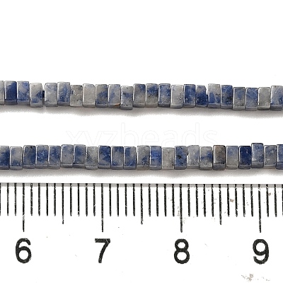 Natural Blue Spot Jasper Beads Strands G-N342-82-1