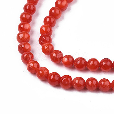 Natural Freshwater Shell Beads Strands X-SHEL-N003-24-B05-1
