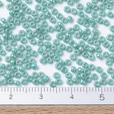 MIYUKI Round Rocailles Beads X-SEED-G007-RR0481-1