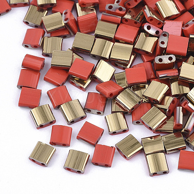 FGB 2-Hole Glass Seed Beads X-SEED-S031-L-045-G-1