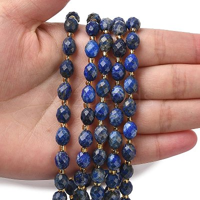 Dyed Natural Lapis Lazuli Beads Strands G-F809-A35-01-1