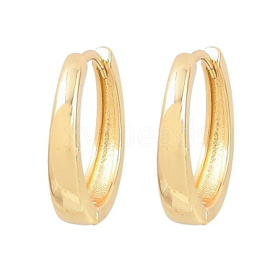 Brass Hoop Earrings EJEW-A156-09B-G-1