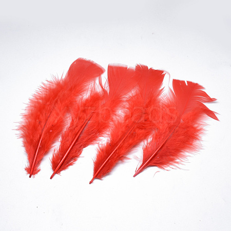 Turkey Feather Costume Accessories FIND-T013-02H-1