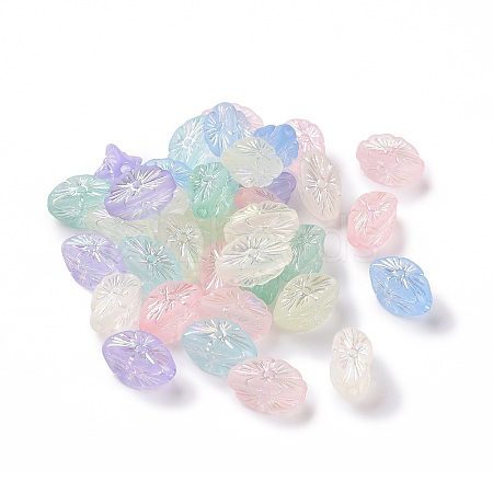 Transparent Frosted Acrylic Beads OACR-P013-39M-1