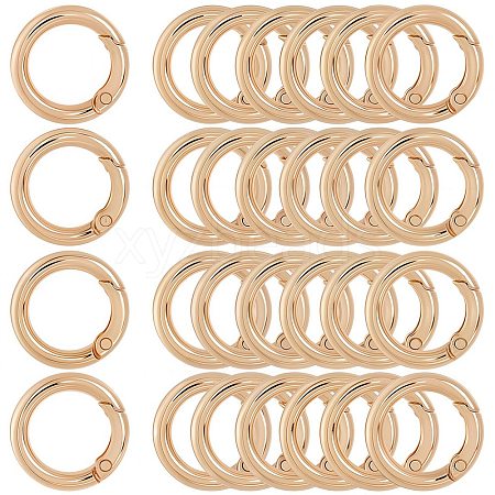 30Pcs Alloy Spring Gate Ring FIND-SP0001-48-1
