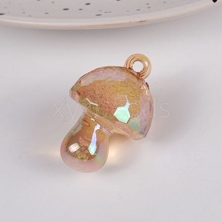 Bubble Style Transparent Acrylic Pendants MUSH-PW0001-006C-1