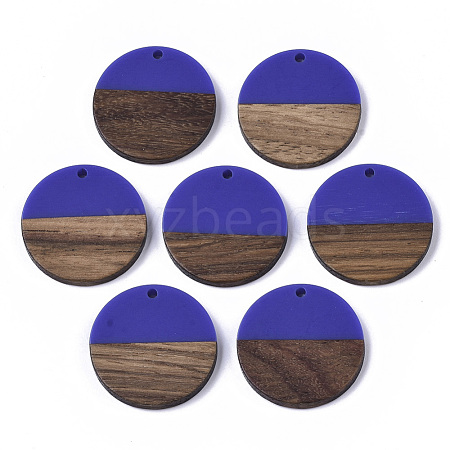 Resin & Wood Pendants RESI-S358-02B-20-1